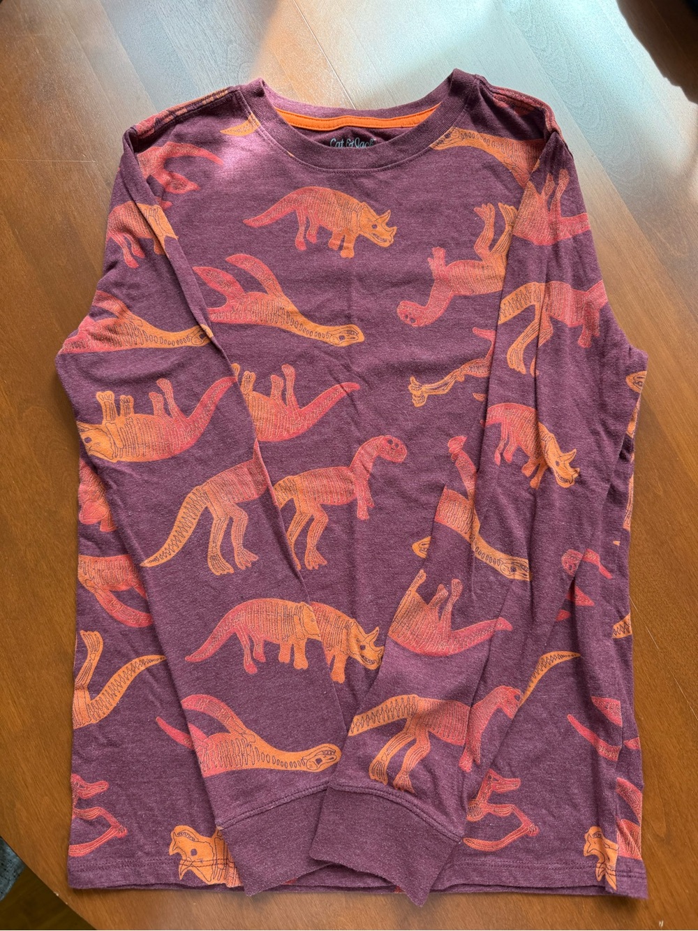 Cat & Jack Long-Sleeve Tee with Orange Dinosaur Print